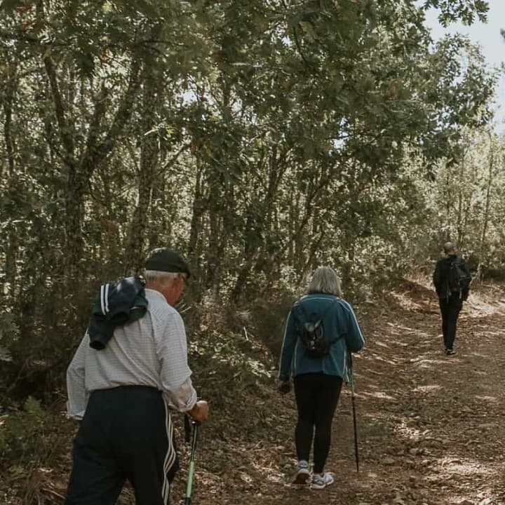 Grupo de pessoas a caminhar na floresta da rota meandros do côaa