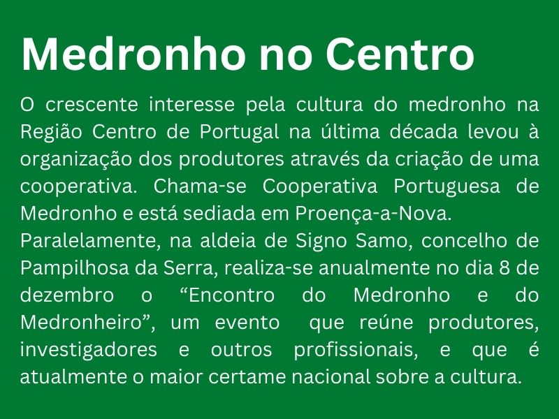 caixa de etxto sobre a cultura de medronho no centro de portugal