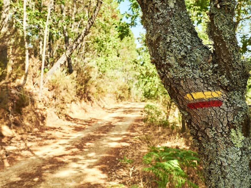 caminho pedestre com marca de trilho numa árvore