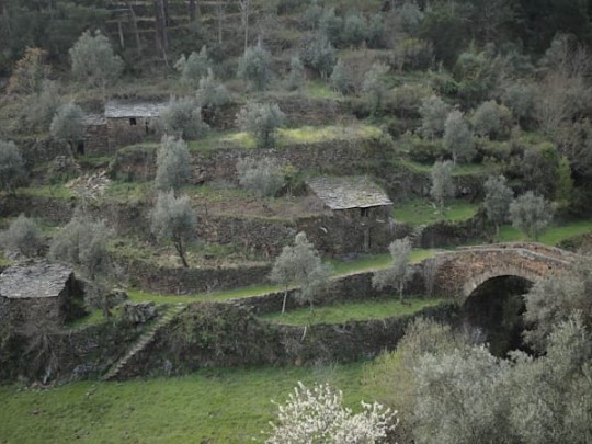 encosta de socalcos, casas de pedra e uma ponte romana