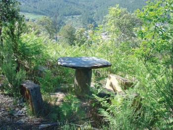 banco e mesa em pedra no meio de uma floresta