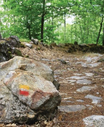 pedra com marcaçãod e percurso pedestre à beirad e uma estrada de pedra