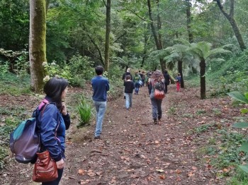 pessoas a passear no vale do fetos, na mata do bussaco