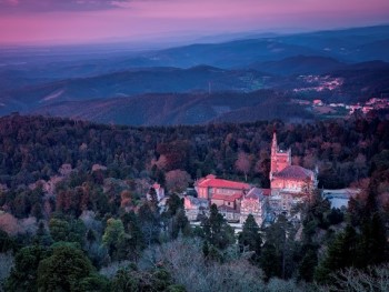 panorâmica sobre a mata e o palácio do bussaco