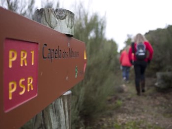 pessoas a caminhar por um trilho pedestre