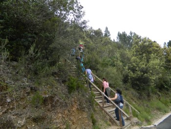 grupo de caminheiros a subir uma escada em madeira numa encosta