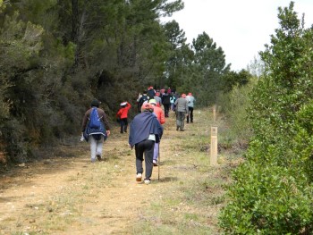 grupo de caminheiros num estradão de terra