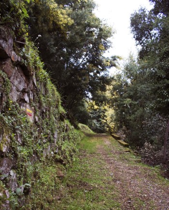 trilho pedestre ladeado por árvores e uma formação rochosa