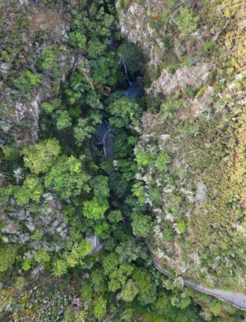 fotografia aérea da mata da margaraça