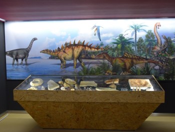 sala de um museu com dinossauros na parede