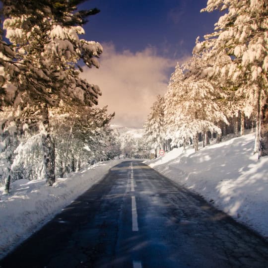 estrada florestal com neve na serra da estrela