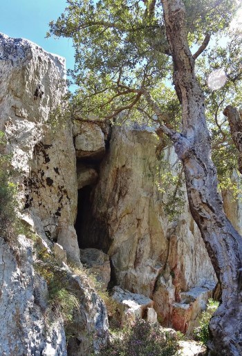 gruta numa fraga ganítica com uma árvore ao lado