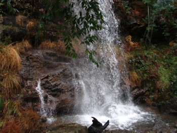 água a cair em cascata para um pequeno lago