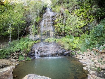 cascata rodeada por floresta com água a cair para um lago