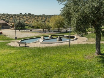 lago num jardim de oliveiras