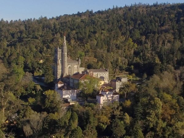 palácio do bussaco, mata do bussaco