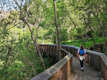 rapariga a caminhar nos passadiços do mondego