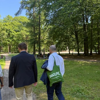 homens a caminhar na floresta