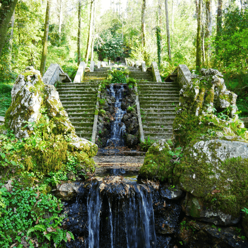 Fonte Fria, Mata do Bussaco - Mealhada.